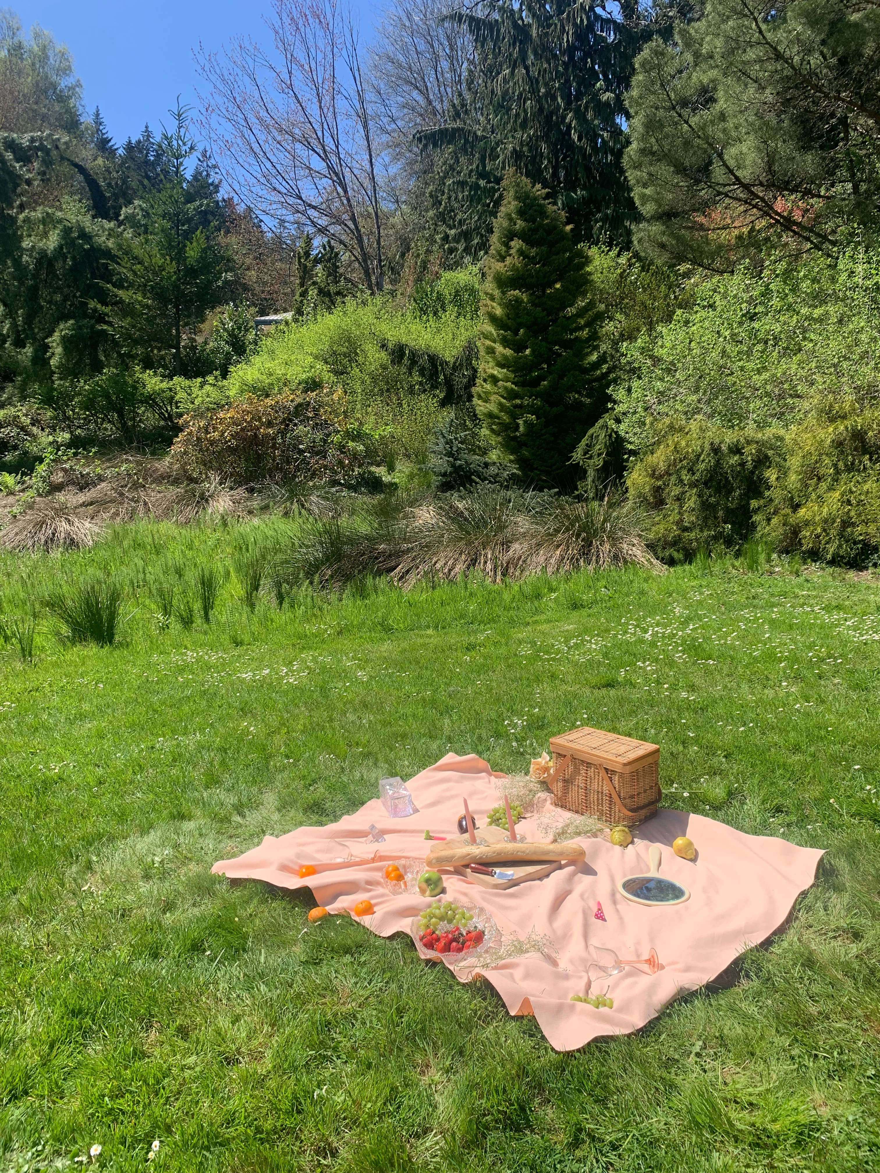 Picnic Paranoia