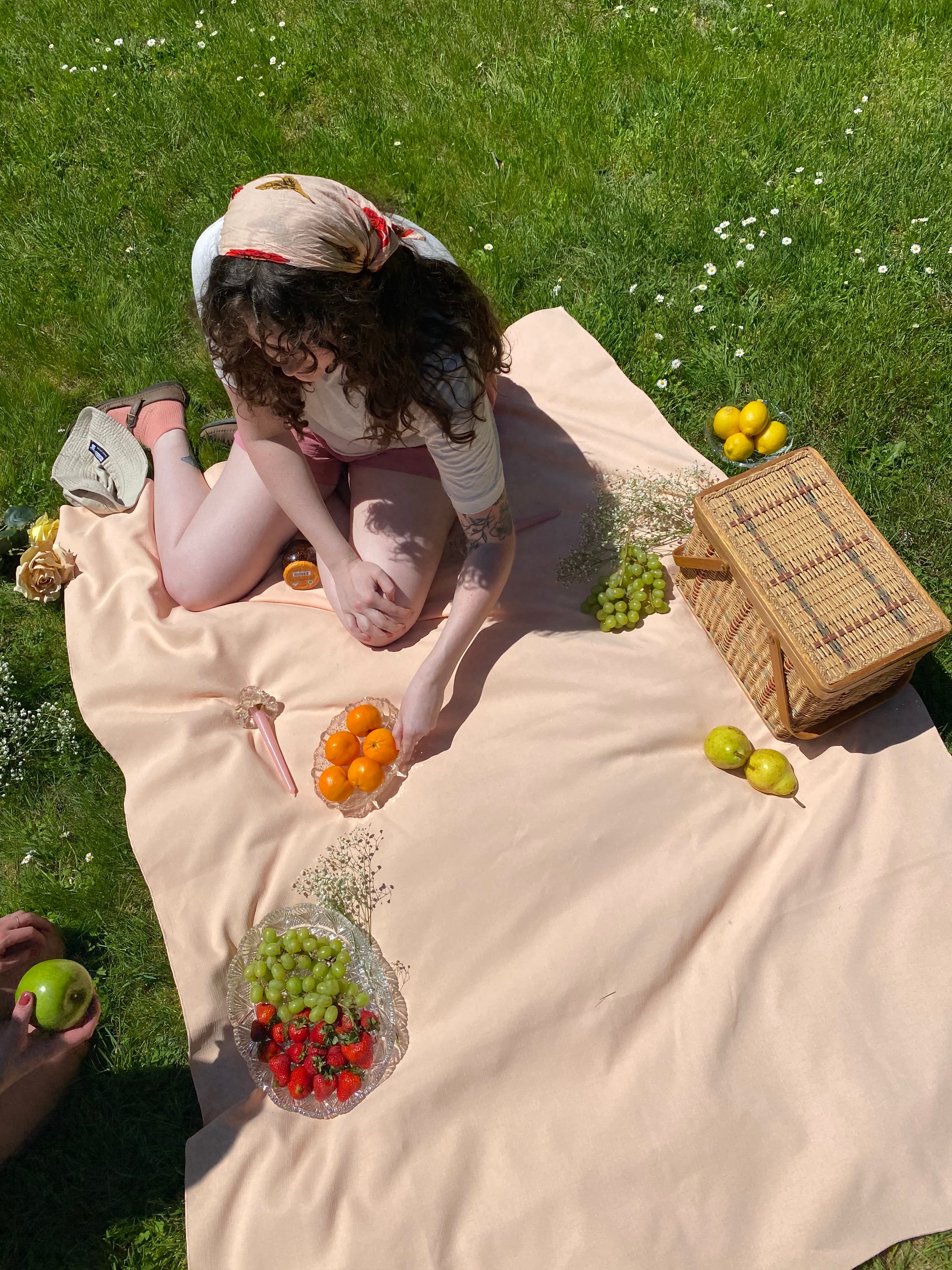 Picnic Paranoia