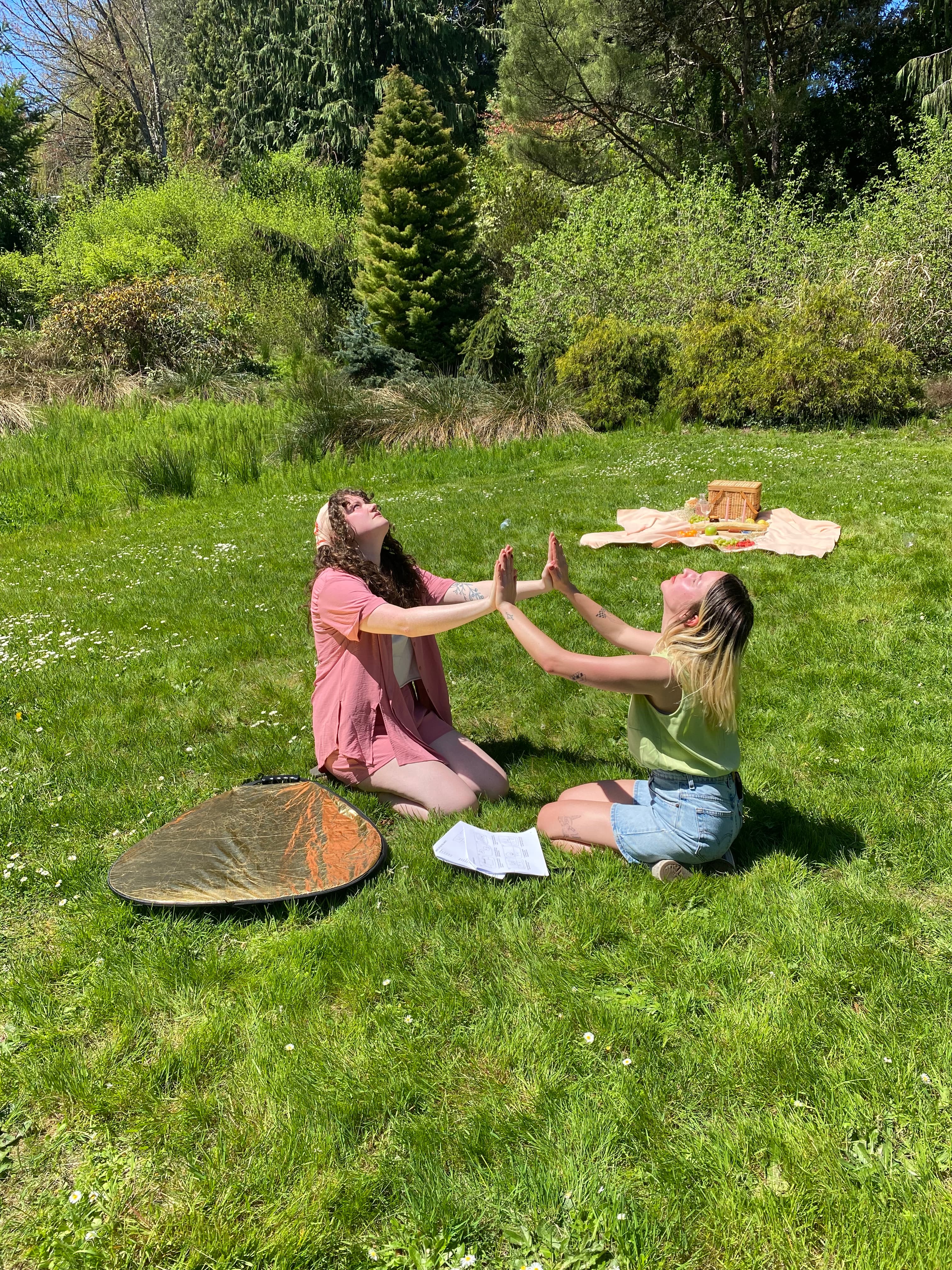 Picnic Paranoia