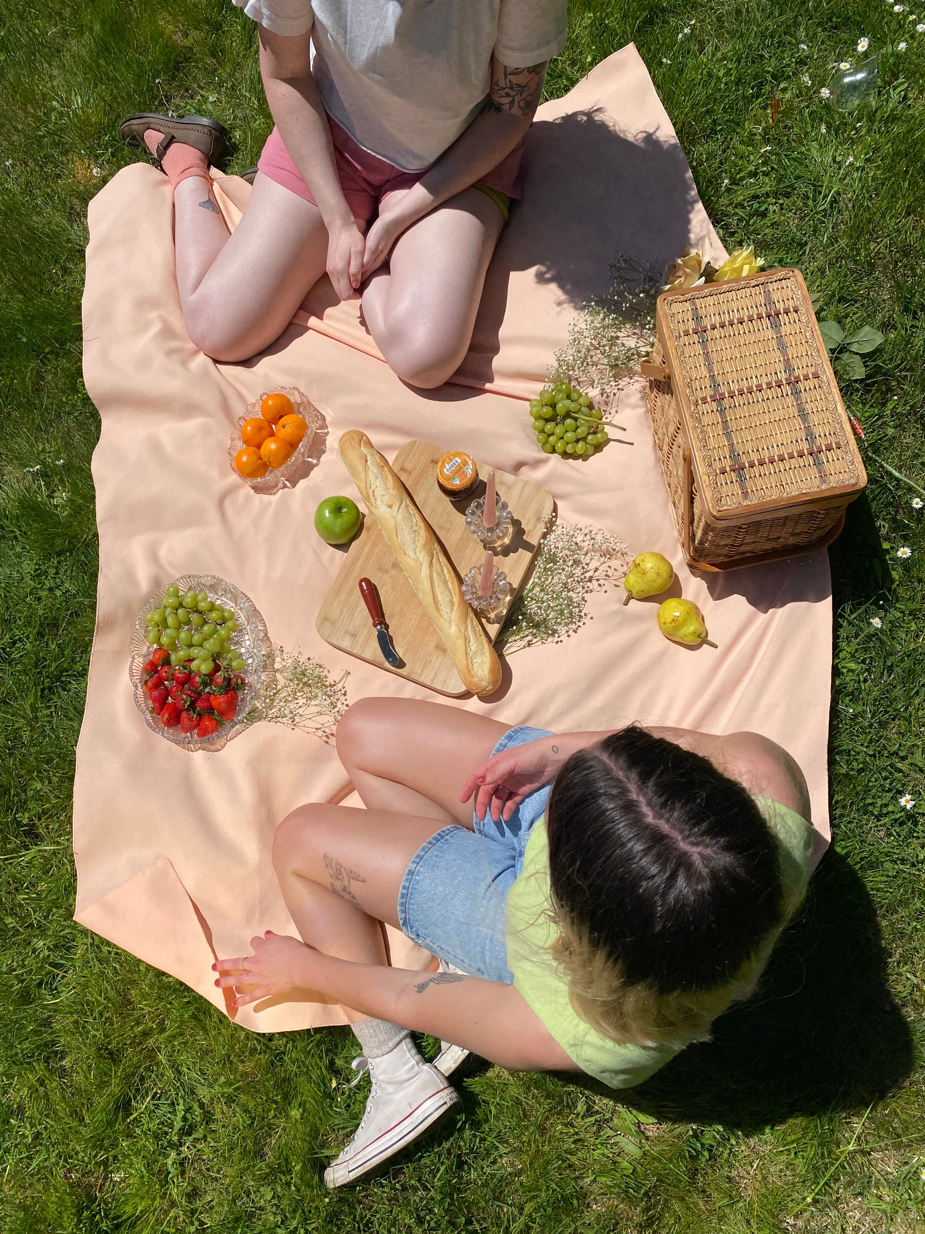 Picnic Paranoia